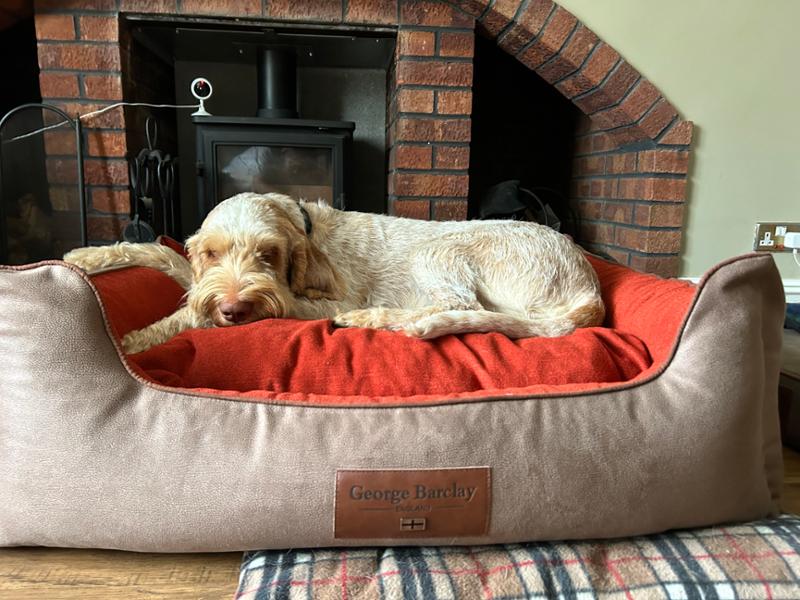 Selbourne Orthopaedic Box Style Dog Bed - Ginger / Ember, X-Large, Bed with Orthopaedic, Blended Memory Foam Particles