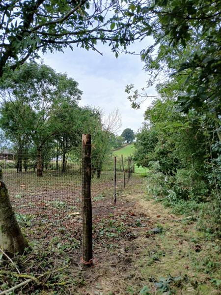 Deer Netting Fencing  1.8m x 100m