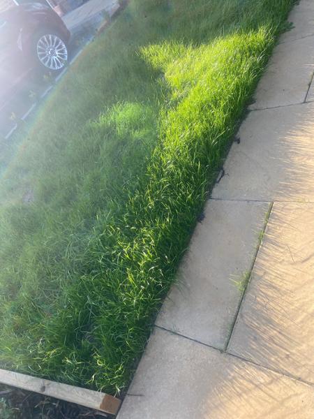 Lawn Magic 5 stars