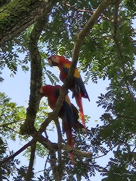 Costa Rica A World of Nature on 08/17/2024