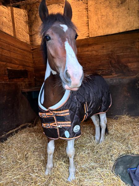 200g Middleweight Stable Rug With Tail Flap And Fleece Collar