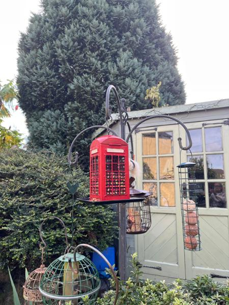 British Telephone Box Bird Feeder