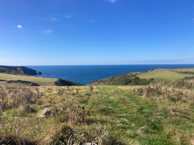 Teneriffe Farm Campsite