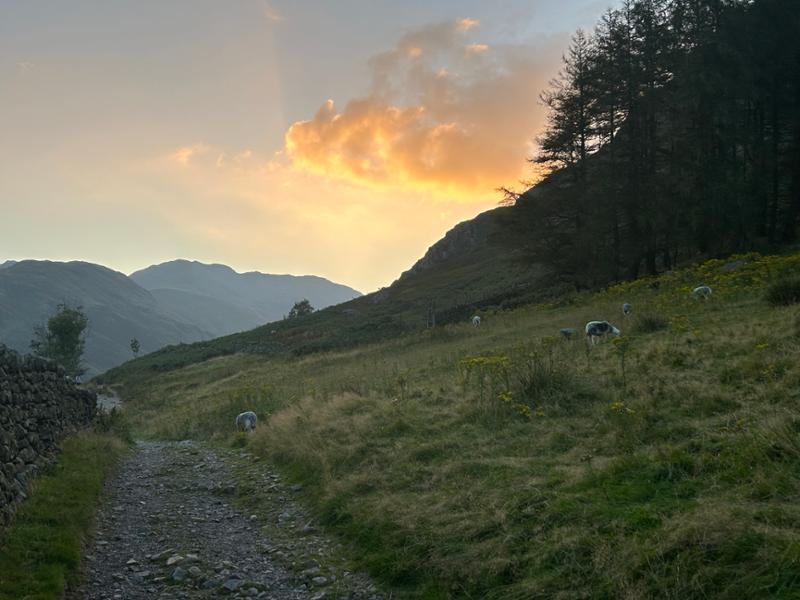 Great Langdale Campsite