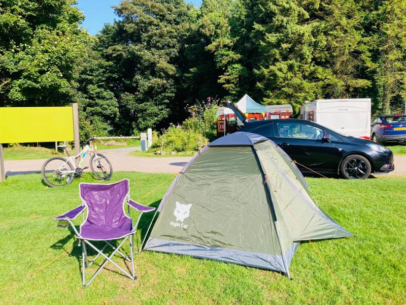 Castle Ward Campsite