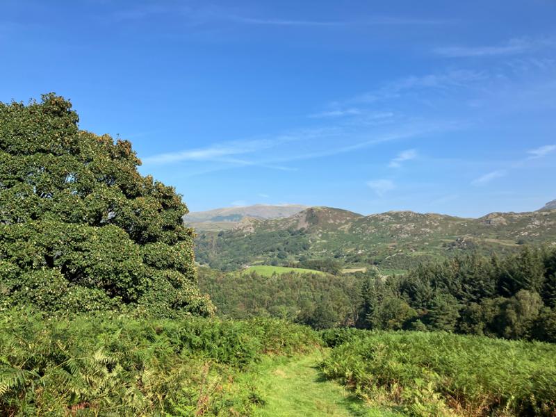 Beautifully situated campsite for walking