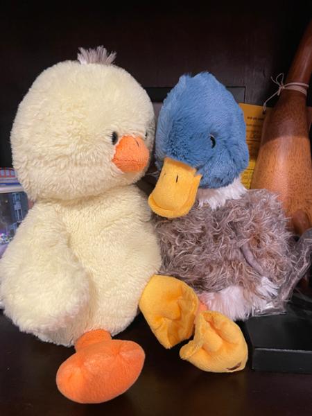 Wrendale Designs Webster the Duck Plush Toy