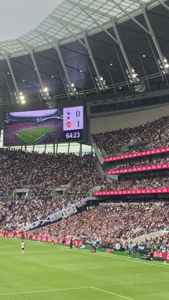 Tottenham Hotspur v Fulham