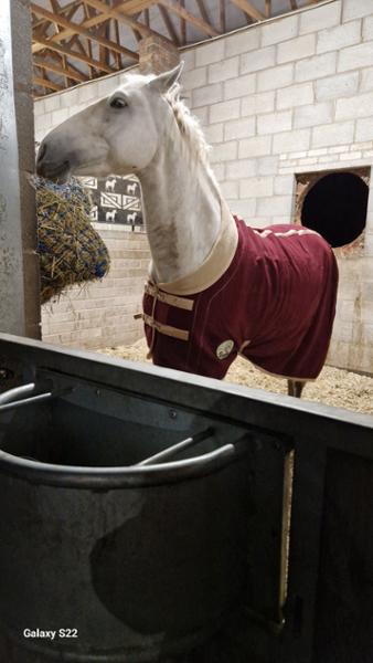 Double Bonded Fleece Rug