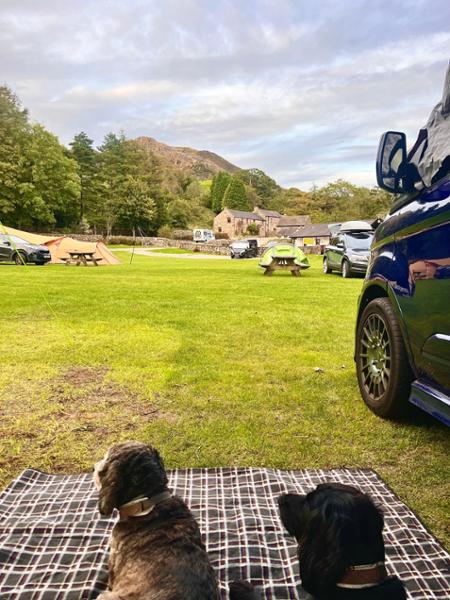 Eskdale Campsite