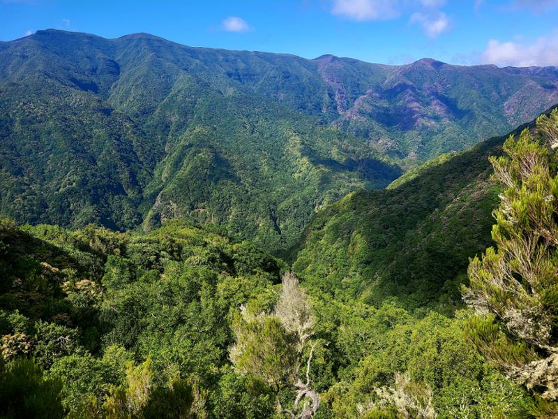 Walking in Madeira