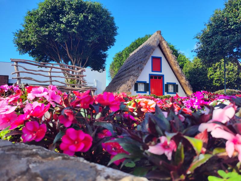 Walking in Madeira