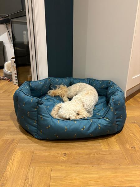 Gorgeous dog bed