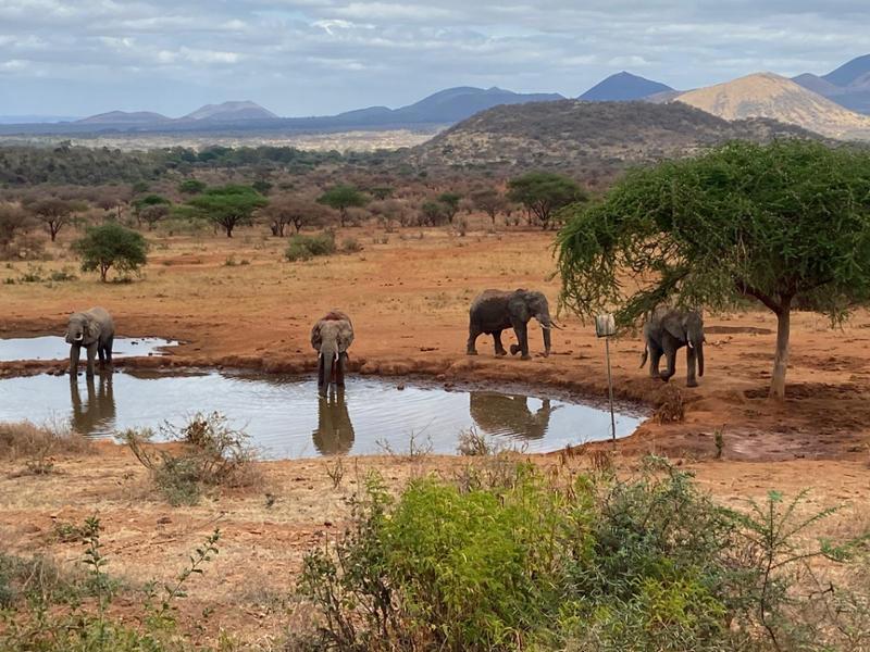 Highlights of Kenya & Tsavo Extension