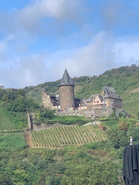 Castles along the Rhine